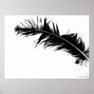 Black Feather Poster