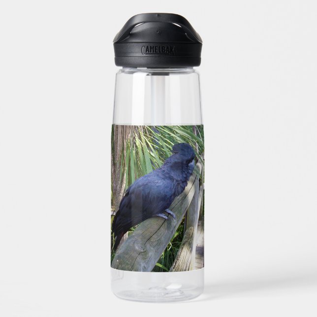 Black Feathers: Australian Black Parrot Water Bottle (Back)