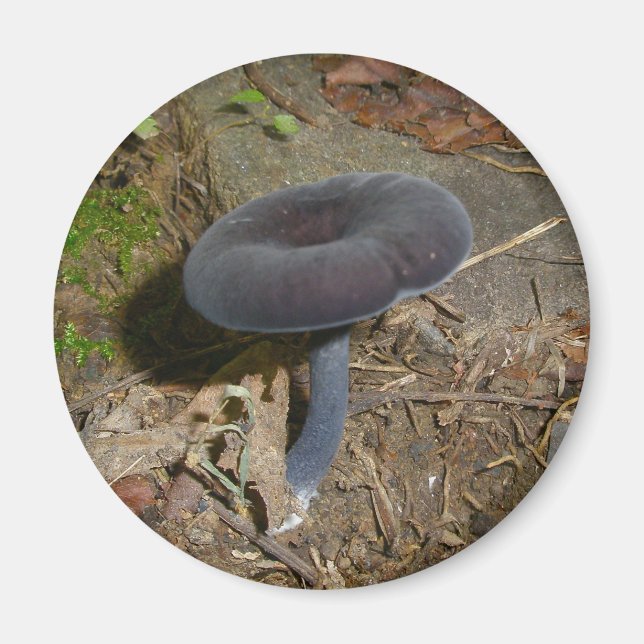 Black Flower Mushroom Magnet (Front)
