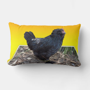 Black Fluffy Chicken On Yellow, Lumbar Cushion. Pillow
