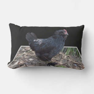 Black Fluffy Chicken Pop Out Outdoor Pillow