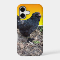 Black Fluffy Rooster Dimensional Art,