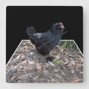 Black Fluffy Rooster Dimensional Art, Square Wall Clock