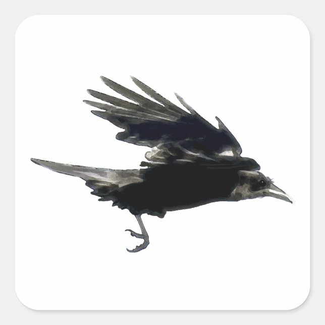 BLACK FLYING CROW Sticker Series (Front)