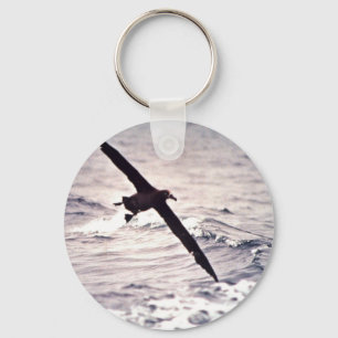 Black-footed albatross in flight keychain