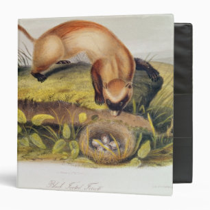 Black-footed Ferret Binder