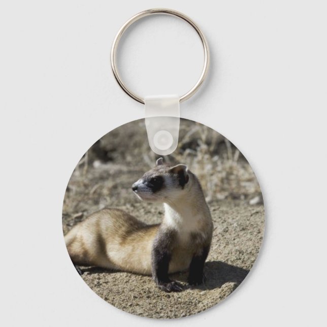 Black-Footed Ferret (captive) Keychain (Front)