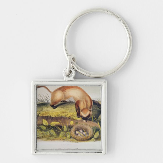 Black-footed Ferret Keychain (Front)