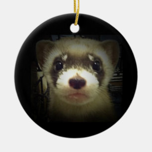 Black Footed Ferret Ornament