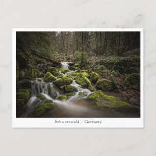 Black Forest Germany Postcard