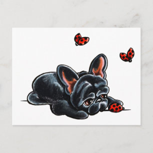 Black French Bulldog Ladybug Postcard