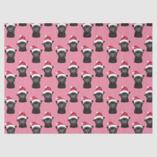 Black French Bulldog Pink Christmas Tissue Paper