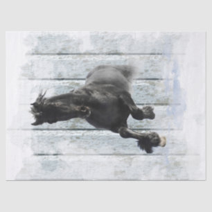 Black Friesian Horse Decoupage Tissue Paper