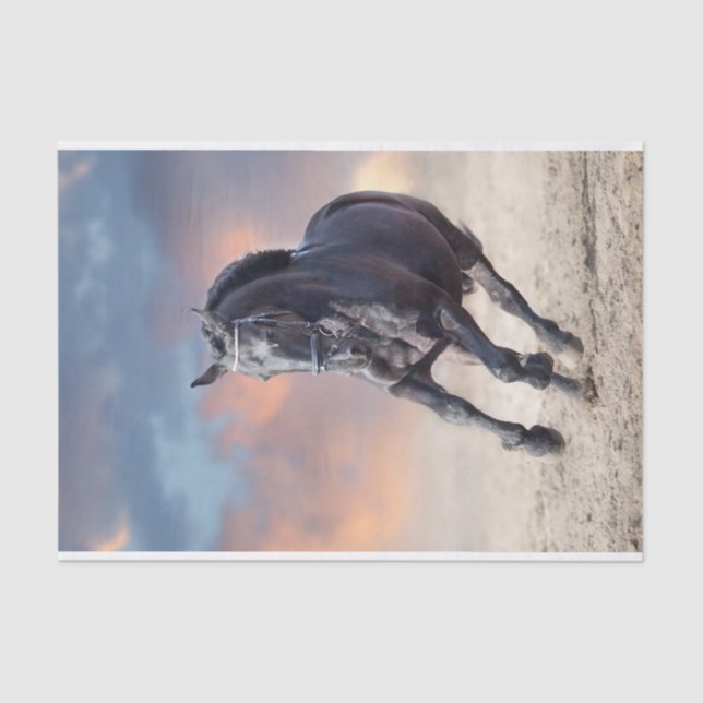 Black friesian horse galloping tissue paper (Front)