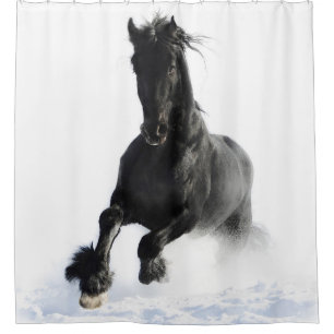 Black Friesian Horse In Snow