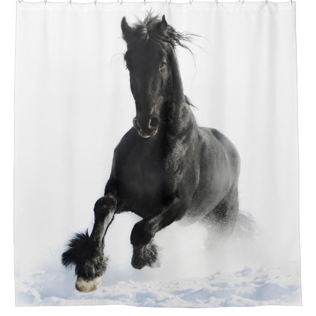 Black Friesian Horse In Snow (Front)