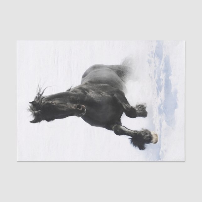 Black Friesian Horse In Snow Tissue Paper (Front)