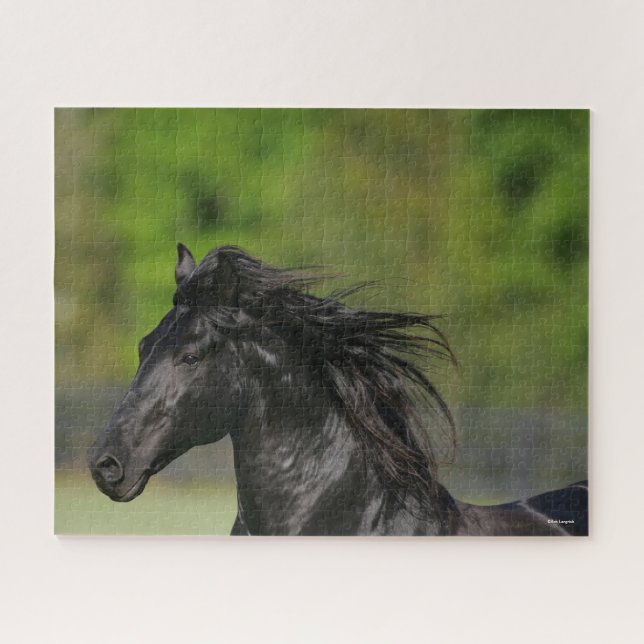 Black Friesian Horse Stallion Headshot Jigsaw Puzzle (Horizontal)