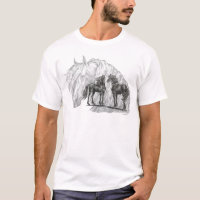 Black Friesian Horses Manes Tails