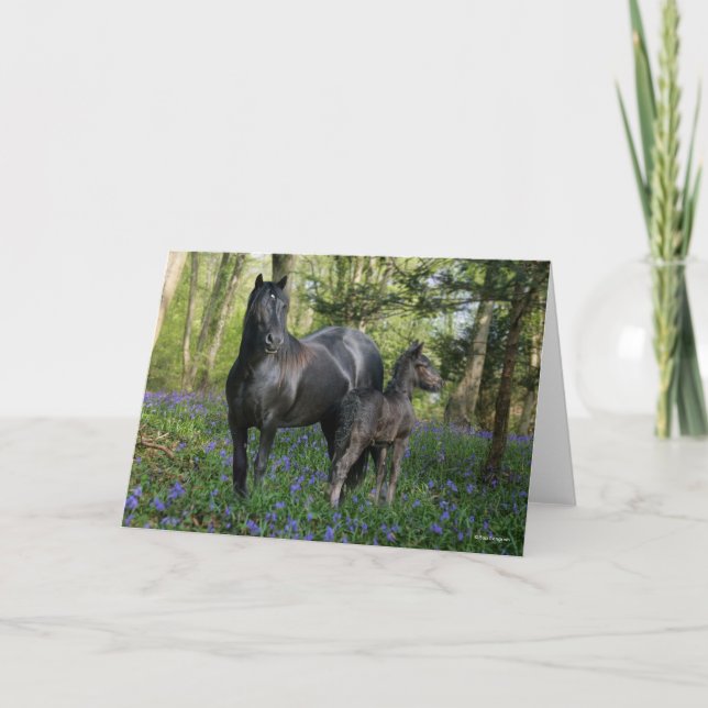 Black Friesian Mare and Foal In Bluebells Card (Front)