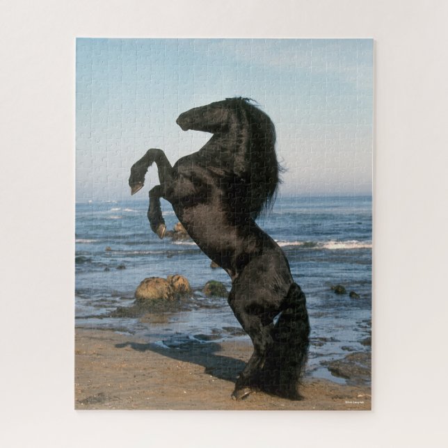 Black Friesian Stallion Rearing On Beach Jigsaw Puzzle (Vertical)