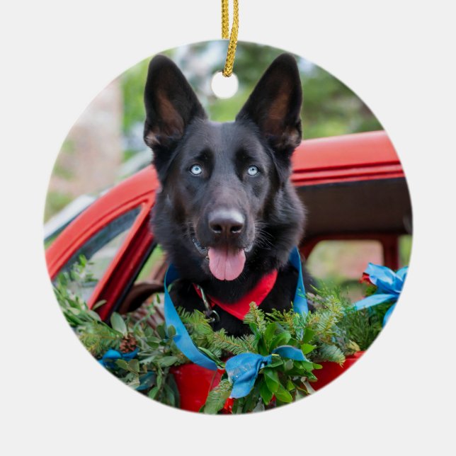 Black German Shephard with Blue Eyes Ornament (Front)