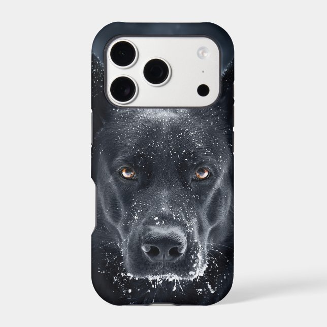 Black German Shepherd (Back)