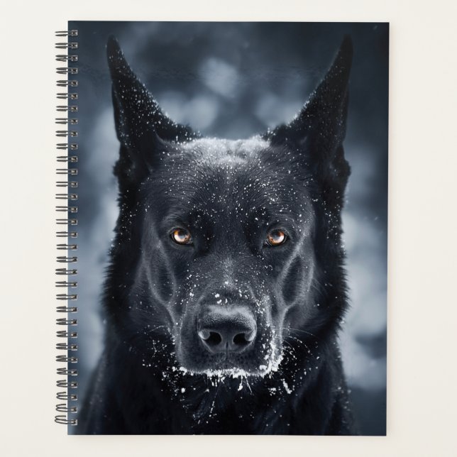 Black German Shepherd (Devant)