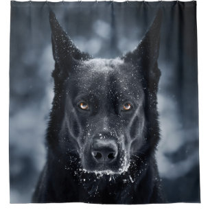 Black German Shepherd