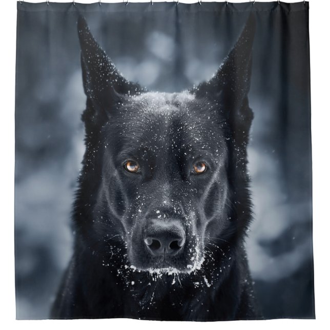 Black German Shepherd (Front)