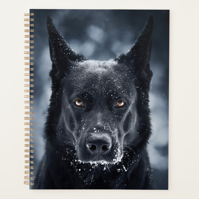Black German Shepherd (Devant)