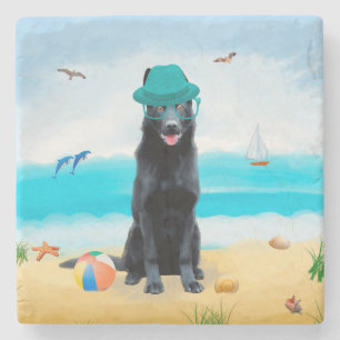 Black German Shepherd Dog on Beach Stone Coaster