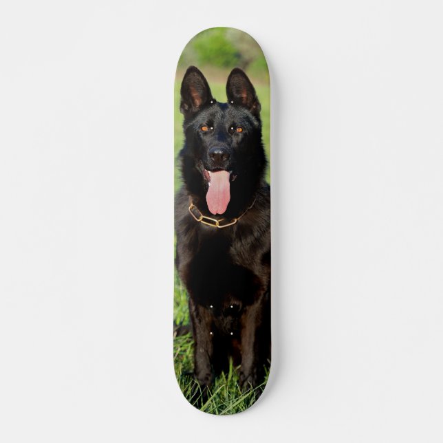 Black German Shepherd Dog Sitting Skateboard (Front)