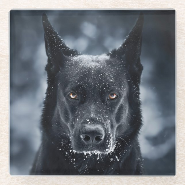 Black German Shepherd Glass Coaster (Front)