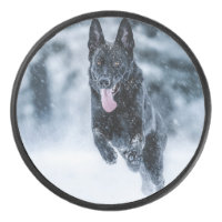 Black German Shepherd in snow Duvet Cover