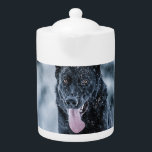Black German Shepherd in snow Duvet Cover<br><div class="desc">Black German Shepherd in snow</div>