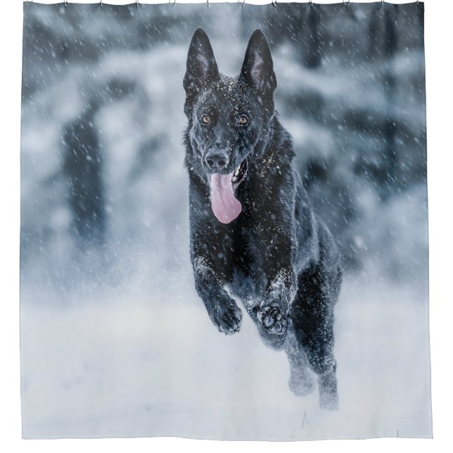 Black German Shepherd in snow Duvet Cover (Front)
