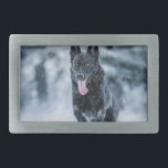 Black German Shepherd in snow Duvet Cover Belt Buckle<br><div class="desc">Black German Shepherd in snow</div>