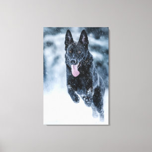 Black German Shepherd in snow Duvet Cover Canvas Print