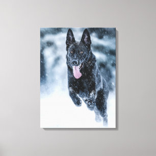 Black German Shepherd in snow Duvet Cover Canvas Print
