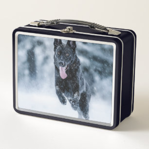 Black German Shepherd in snow Duvet Cover Metal Lunch Box