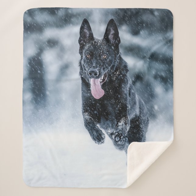 Black German Shepherd in snow Duvet Cover Sherpa Blanket (Front)