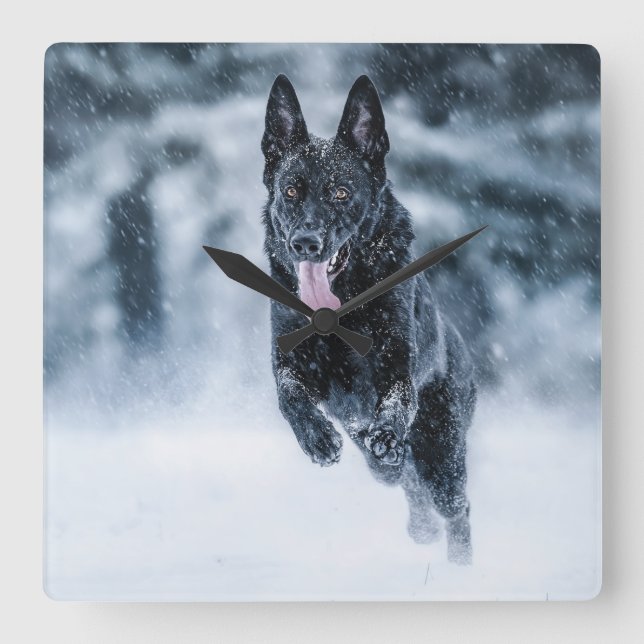 Black German Shepherd in snow Duvet Cover Square Wall Clock (Front)