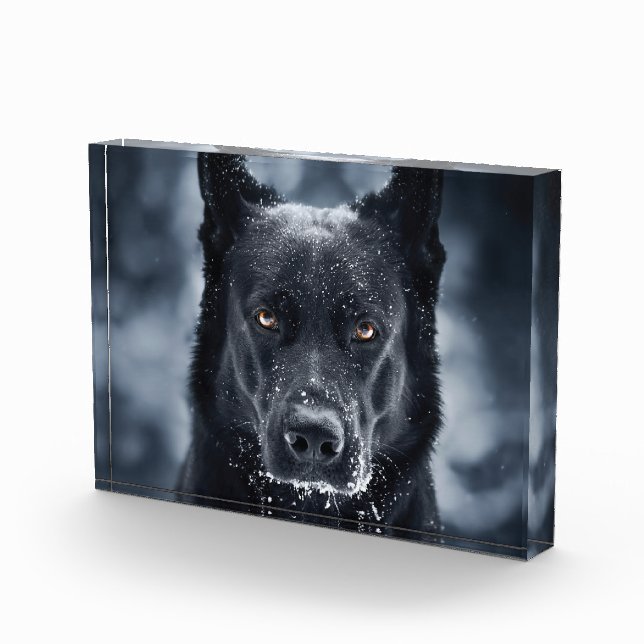 Black German Shepherd Photo Block (Right)