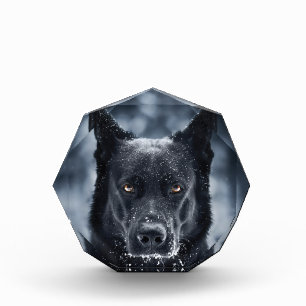 Black German Shepherd Photo Block