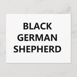 black german shepherd postcard