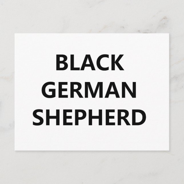 black german shepherd postcard (Front)