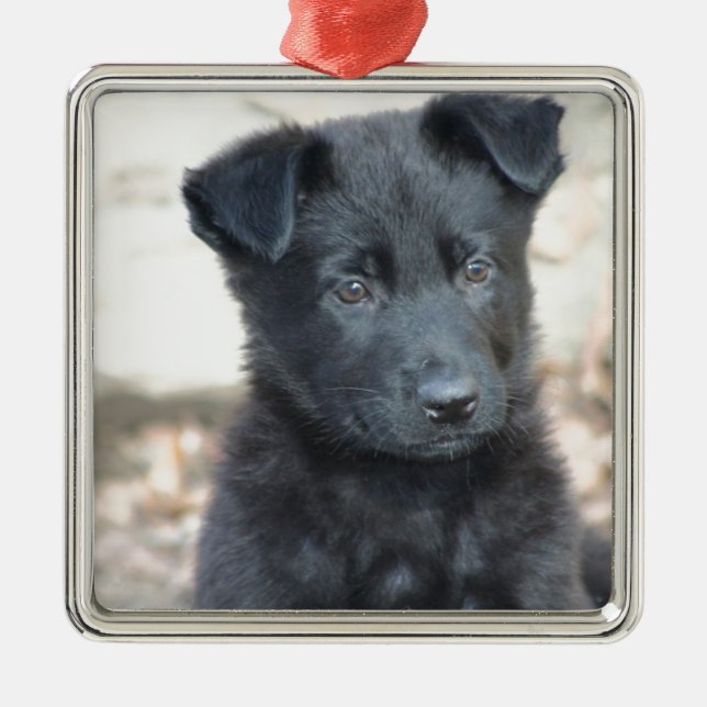 Black German Shepherd Puppy Metal Ornament (Front)