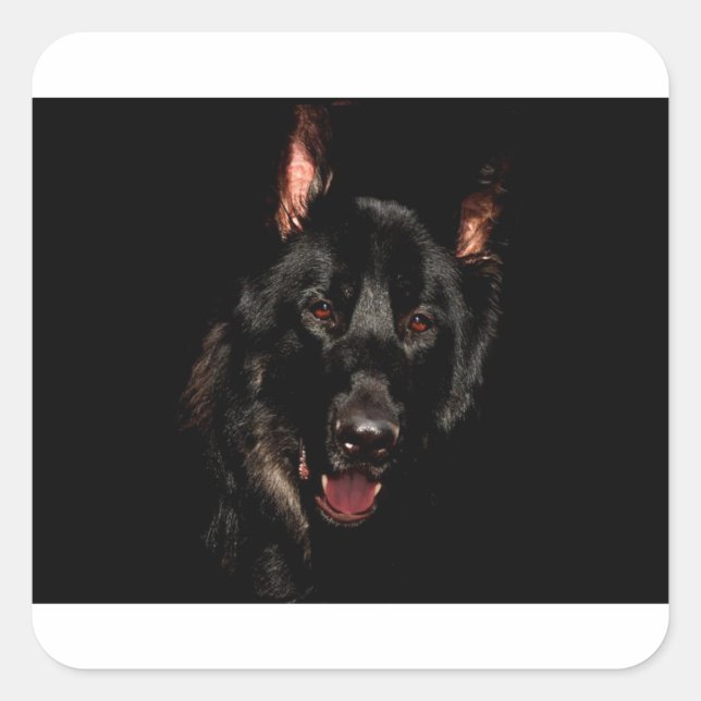 Black German Shepherd Square Sticker (Front)