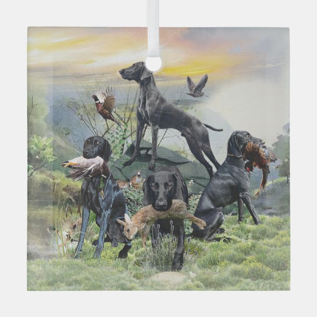 Black German Shorthaired Pointers    Glass Ornament (Front)
